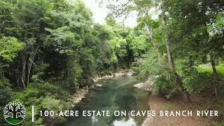 100-Acre Private Estate on Caves Branch River | 1200 ft. of Frontage