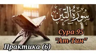 МЕДЛЕННОЕ ЧТЕНИЕ КОРАНА С ОБЪЯСНЕНИЕМ. сура 95 ат-Тин