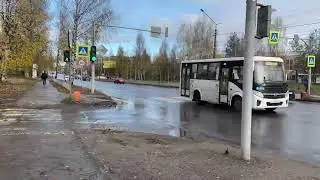 Сыктывкар прогулка улица Морозова