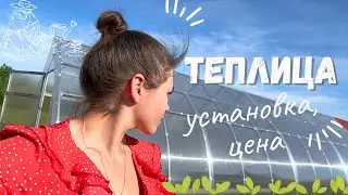 Поставили ТЕПЛИЦУ/ Установка/ Размеры/ Цена