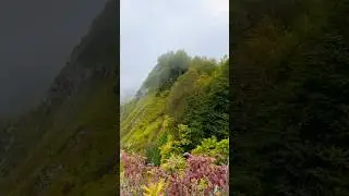 Еда в горах 🏔️💫