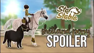 Spoilers & Hints: SHETLAND PONY and other large pets! | Star Stable Online