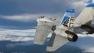 Digital Combat Simulator computer hardware test F-14