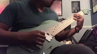 Abasi Concepts USA Custom