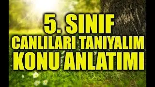 5. SINIF CANLILARI TANIYALIM KONU ANLATIMI