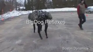 Судьба робота Паука из BostonDynamics (Озвучка с матом)