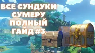ВСЕ СУНДУКИ СУМЕРУ ✦ВСЕ СУНДУКИ ГОРОД СУМЕРУ #3 ✦ GENSHIN IMPACT