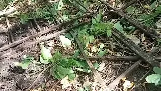 С такой ценой, сдавать не вижу смысла!