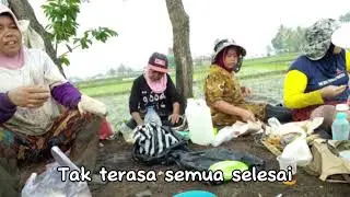 Musim Tanam Telah Tiba | Lagu Pop Indonesia | Official Music Video