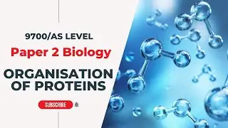 Organization of Proteins | AS Level - P2 | Biology with Dr Lakho