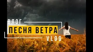 Камера упала с крыши / Ураган / Роторная косилка Wirax / МТЗ 82