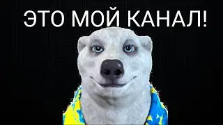 Я взломал стилка за его поведение!