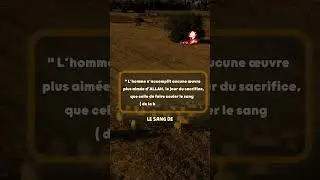 NE RATES SURTOUT PAS ÇA !!!