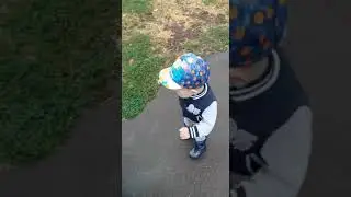Гули нули ахолай махолай