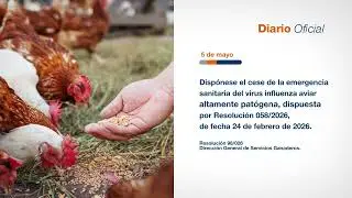 Hoy en el Diario Oficial • 5 de mayo 2026