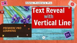 Create Text Reveal with Vertical Line in Premiere Pro | Premiere Pro Learning
