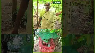 Borwell Failure ஆச்சுன்னா அதை இப்படி Recharge Structure -ஆ மாத்தலாம் | IAS Shantha sheela Nair