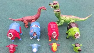 Looking For Moo Cows, Cute Cows, Colorful Cows, Head Assemble, Dinosaurs, T Rex And Triceraptop