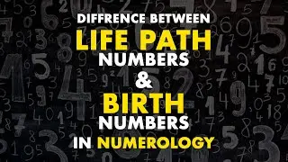 Part 2 of The Difference Between Life Path Number and Birth Number in Numerology