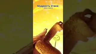мудрость угвея | Подпишись 👇