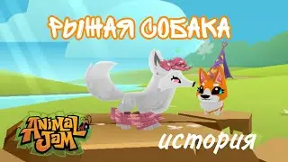 🪸Рыжая собака история🪸 Animal Jam / Энимал Джем