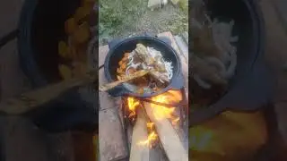 Отдых