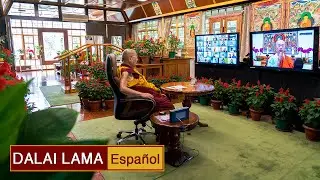 Compasión y no violencia