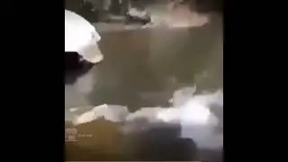 wkwkwkwkwkkwkwkwkwkwkwkwkkwkwkwkwkwkwkwkwkwkwkwkwkwkkwkwkekekekekekekekekkekekeekwkwkwekkekekekekkew