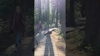 Комарово, экотропа 🌿