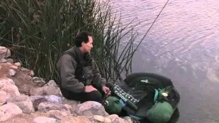 Fish Nevada