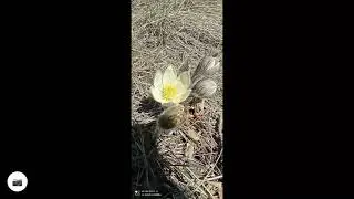 Бурабай, трек вдоль озера