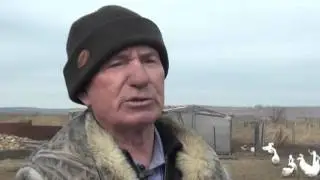 Он знает о яйцах все