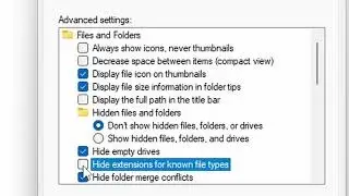 Change Any File Extension (FAST) + Show File Extensions on Windows 11