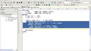 PLSQL EXECUTION WITH BULK PROCESSING 3