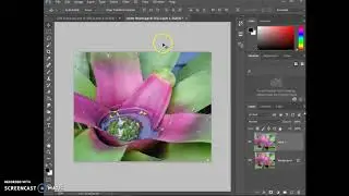 Digital Photo 19/20 - Beginning Photoshop Edits