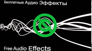 Звук.  Писк мыши.  Mouse Squeaking.