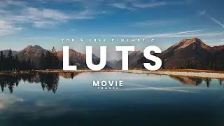 The Top 5 Best Free Cinematic LUTs 2025