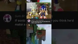 Sonic and Silver Q&A!