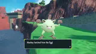 3 shinys pokemon hatched in scarlet and violet(Once per day for 3 days straight)