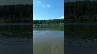 Жарим курочку на реке Бия спасаемся от жары