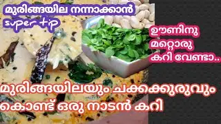 മുരിങ്ങയില ചക്കക്കുരു കറി|Chakkakkuru Muringayila Curry|Muringayila Curry|Healthy N Easy Recipes