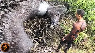 The Deadly Thermal Shift Scene | AFTER EARTH | Jaden Smith, Will Smith