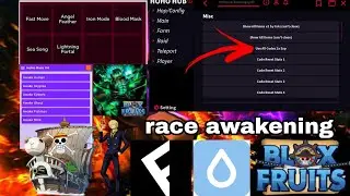 Blox fruit Script hoho hub awaken all race v4