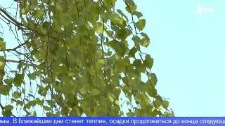 Уральские метеорологи рассказали какой будет погода в июле