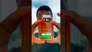 These 3 Fragrances Unexpectedly Got Me Compliments.
