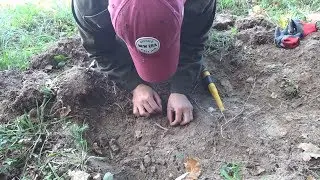 Клад петровских монет на старой дороге. В поисках золота.