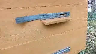 Какие летки в ульях оставлять открытыми на зиму