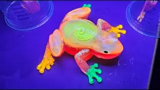 Deion, the Neon Frog