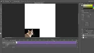 HOW TO CREATE VIDEO IN ADOBE PHOTOSHOP