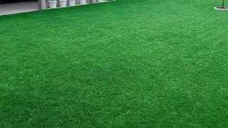 Is your lawn changing color? Do these things as soon as possible.